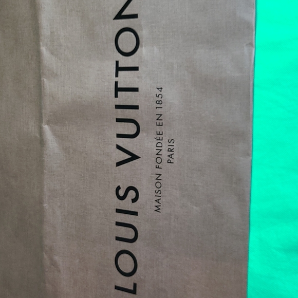 Big Louis Vuitton Bag - Picture 2 of 10